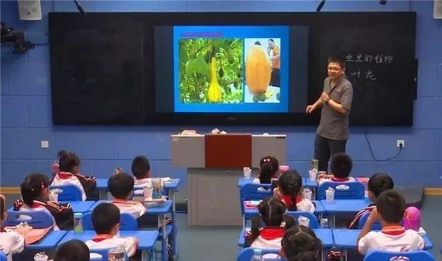 邵武市实验小学(图4)