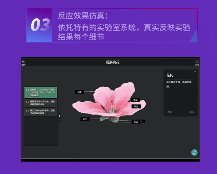 虚实结合，以虚补实，UCN带你解锁教学科研新姿势(图3)